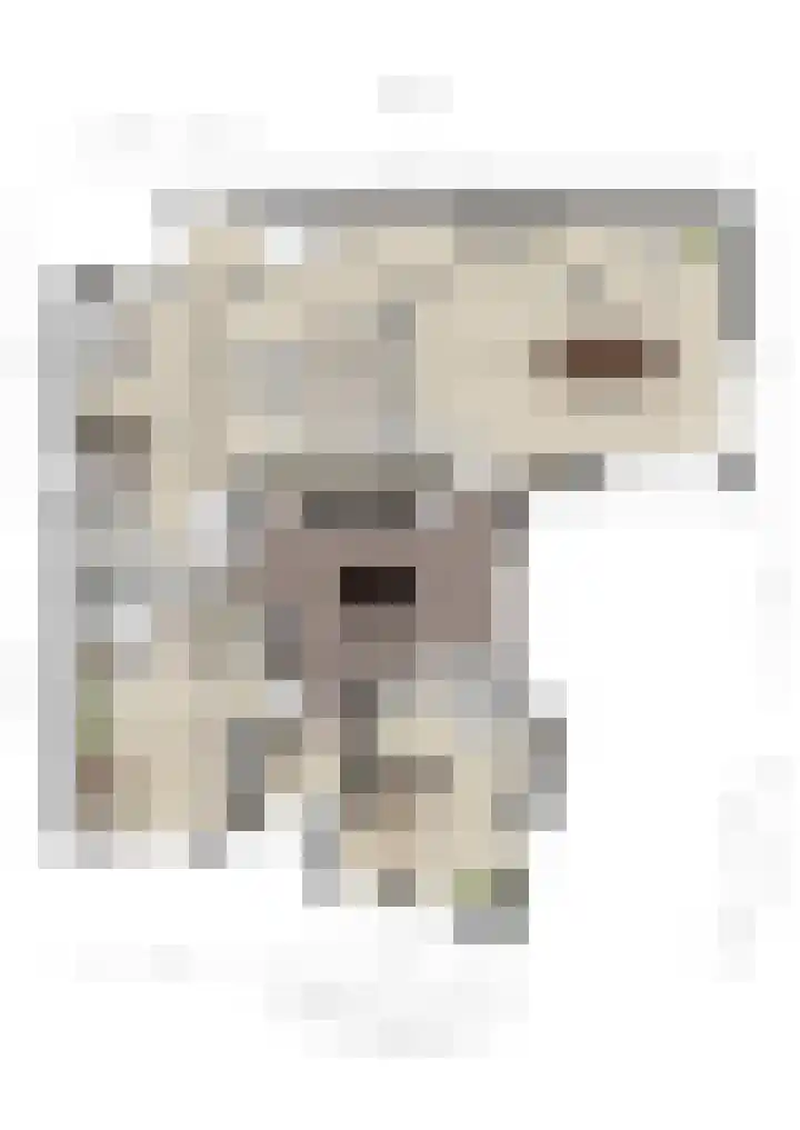 Everdrift 36 Cuijk thumbnail 67