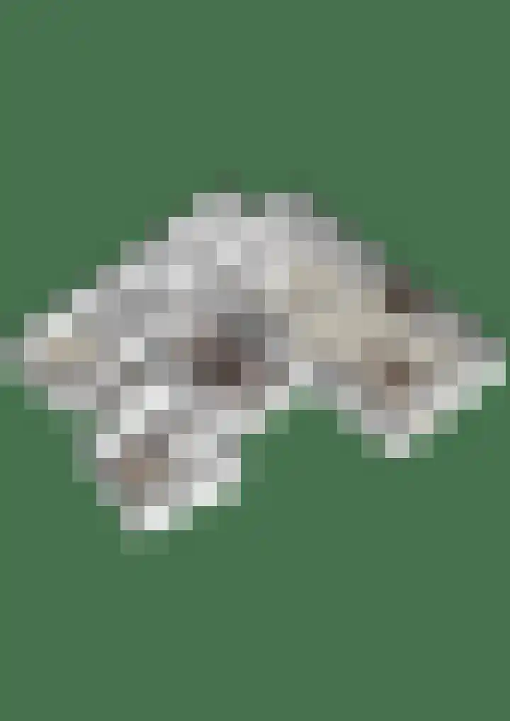 Everdrift 36 Cuijk thumbnail 68