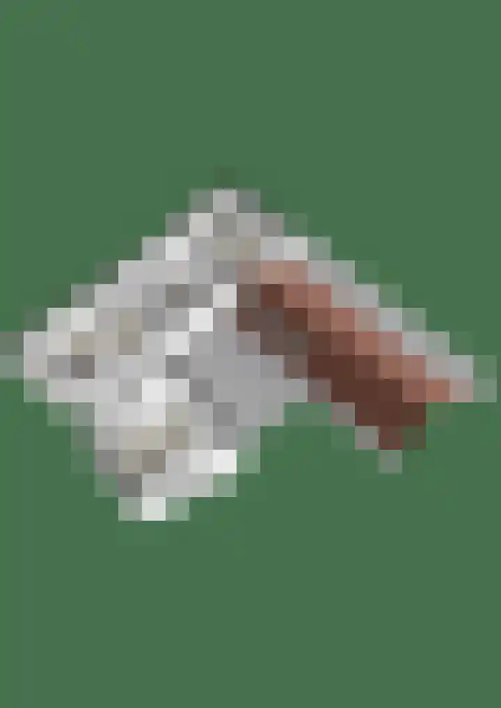 Everdrift 36 Cuijk thumbnail 74