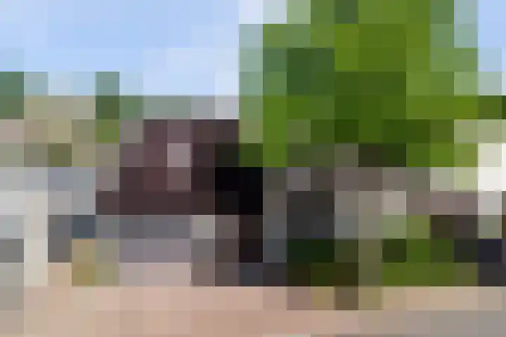 Everdrift 5 dans Cuijk