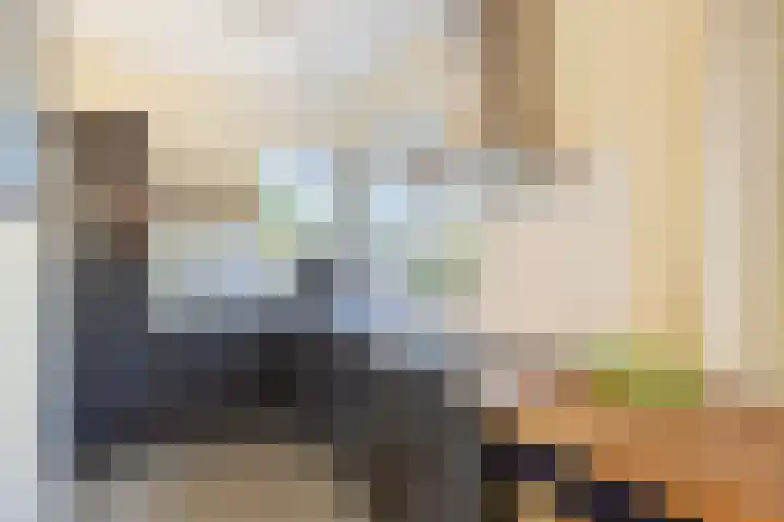 Everlo 3 Losser thumbnail 13