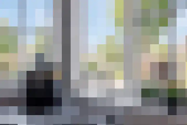 Everlo 3 Losser thumbnail 15