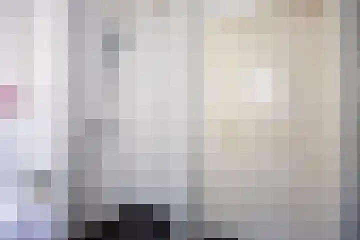 Everlo 3 Losser thumbnail 27