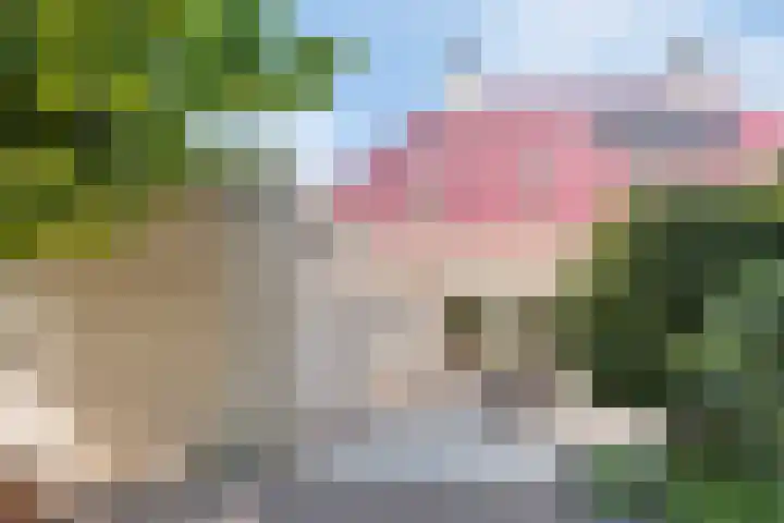 Everlo 3 Losser thumbnail 31