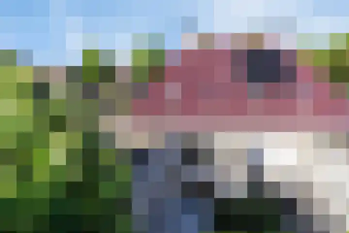 Everlo 3 Losser thumbnail 32