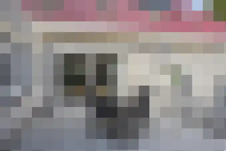 Everlo 3 Losser thumbnail 33