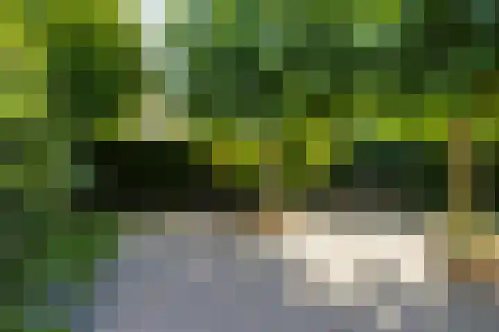 Everlo 3 Losser thumbnail 34
