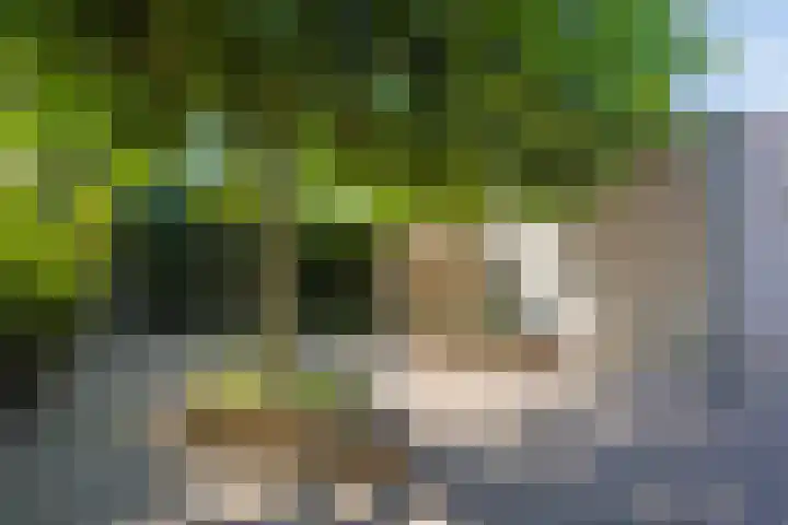 Everlo 3 Losser thumbnail 35