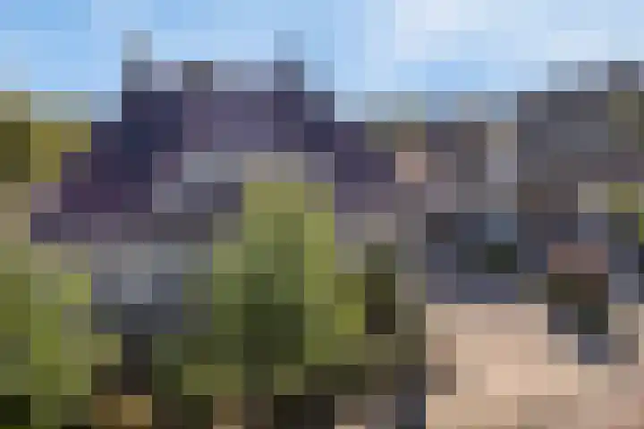Everlo 3 Losser thumbnail 36