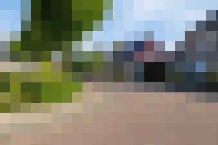 Everlo 3 Losser thumbnail 39