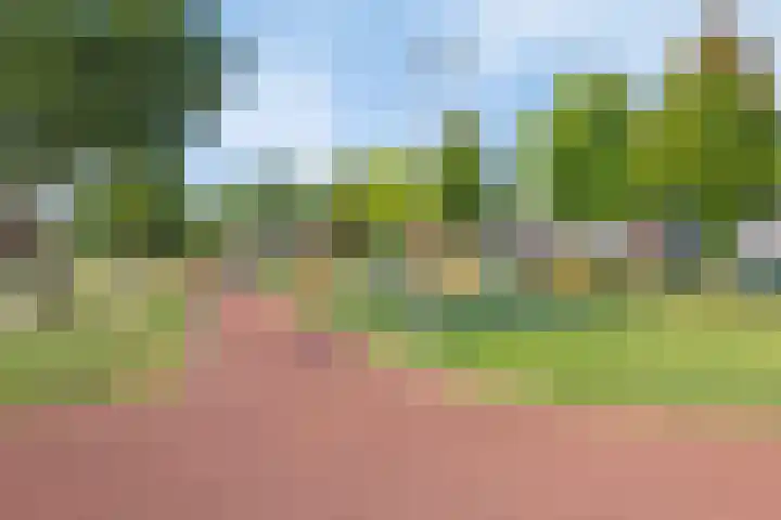 Everlo 3 Losser thumbnail 40