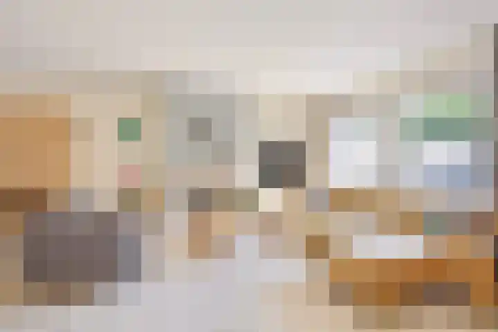 Everlo 3 Losser thumbnail 6