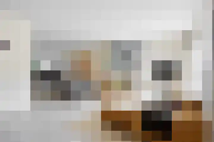 Everlo 3 Losser thumbnail 7