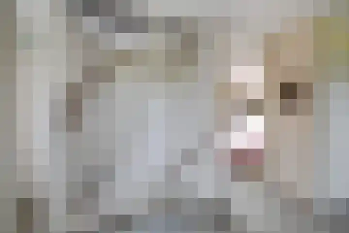 Eversberg 21 Raalte thumbnail 23