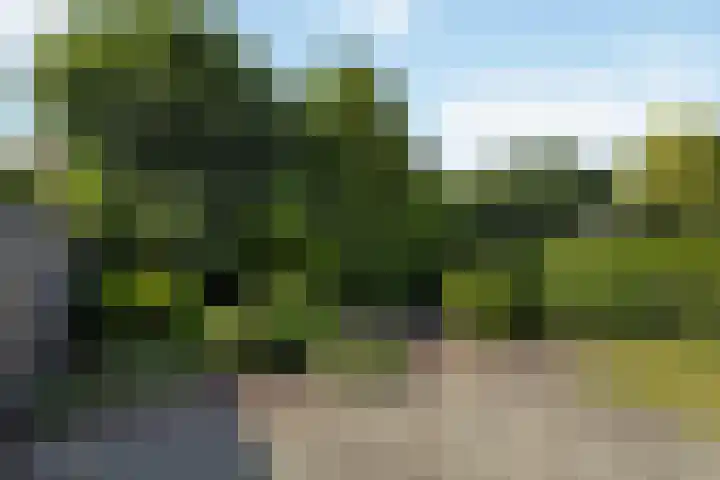 Eversberg 21 Raalte thumbnail 34
