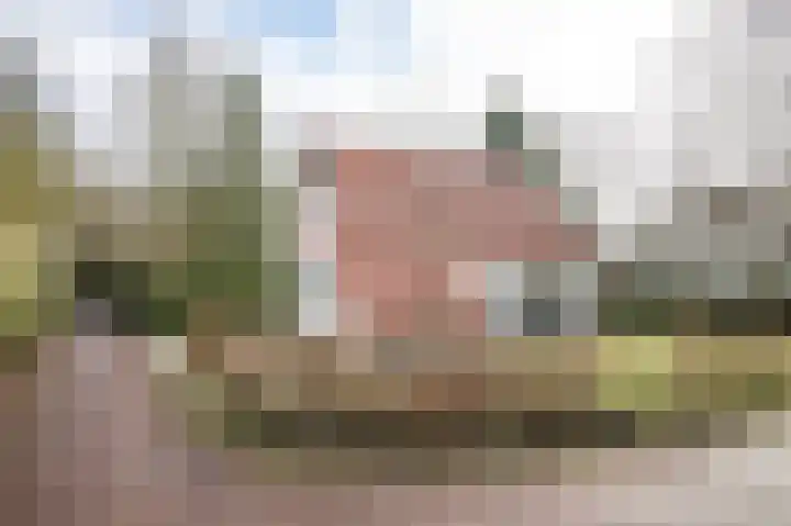 Eversdijk 6 a ZH21 Enter thumbnail 31