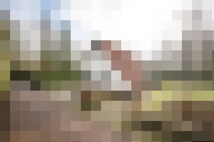 Eversdijk 6 a ZH21 Enter thumbnail 6