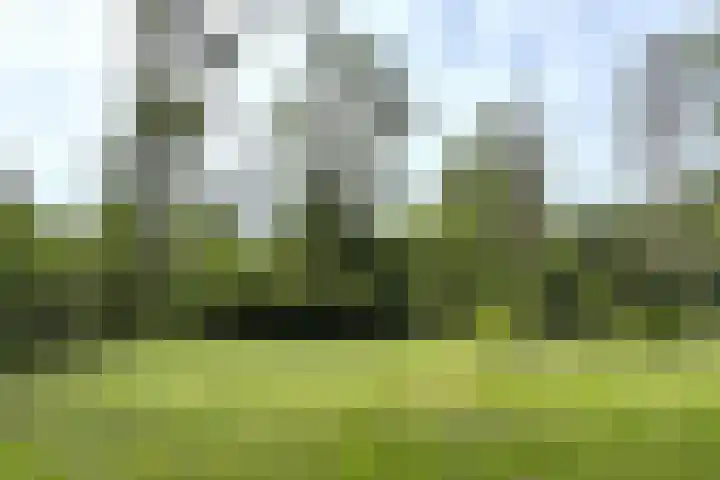 Eversdijk 6 a ZH76 Enter thumbnail 5