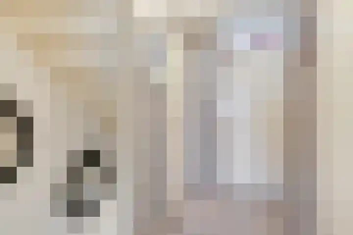 Eversstraat 25 Loo Gld thumbnail 21