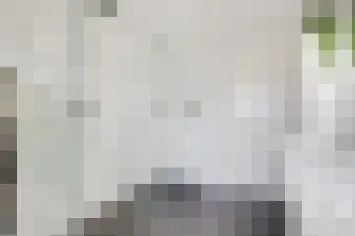 Eversstraat 25 Loo Gld thumbnail 31