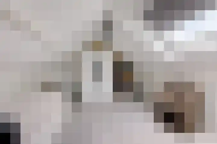 Eversstraat 25 Loo Gld thumbnail 35