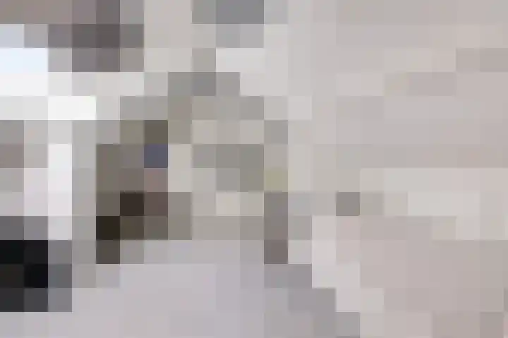 Eversstraat 25 Loo Gld thumbnail 36