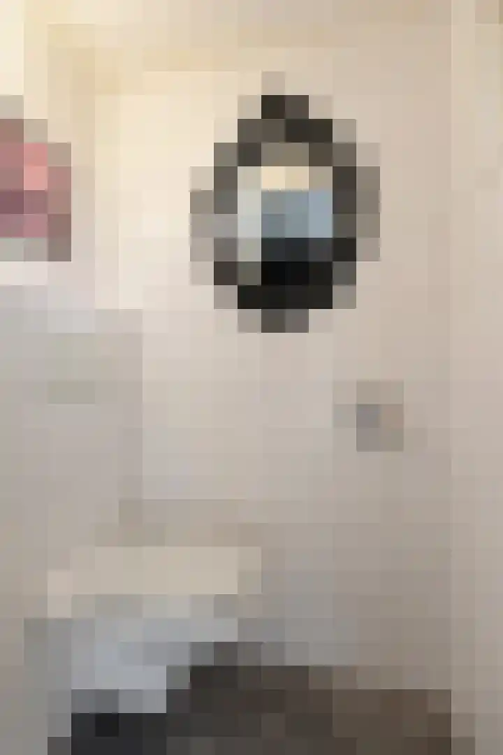 Eversstraat 25 Loo Gld thumbnail 8