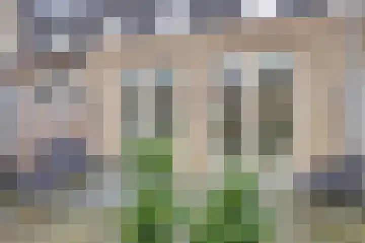 Evertsenstraat 1 C Wormerveer thumbnail 16