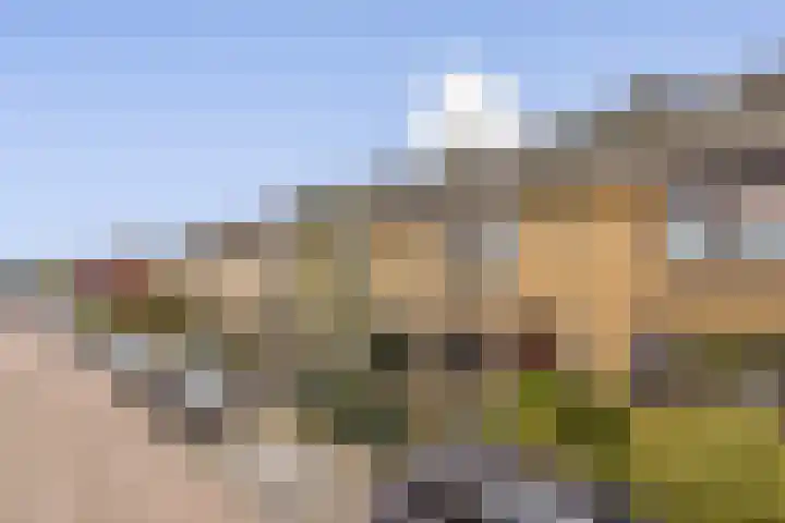 Evertsenstraat 14 Bleiswijk thumbnail 4
