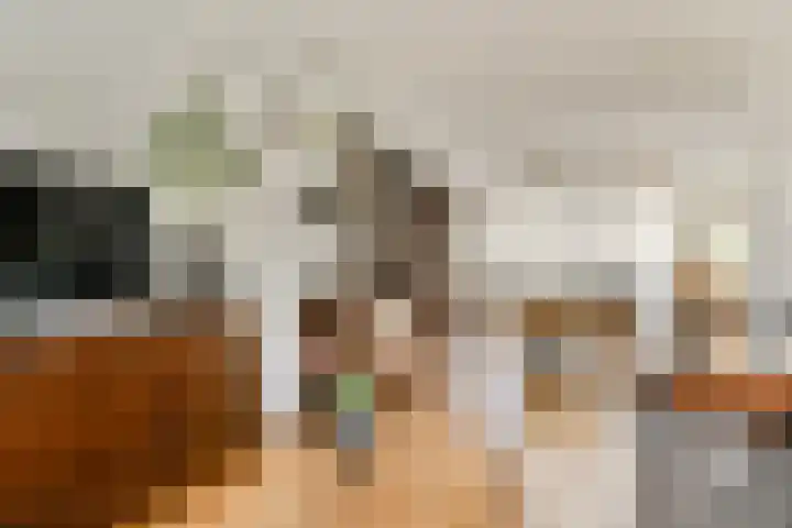 Evertsenstraat 14 Bleiswijk thumbnail 7