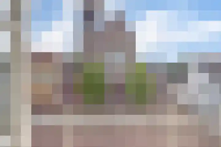 Everwijnstraat 38 Culemborg thumbnail 17