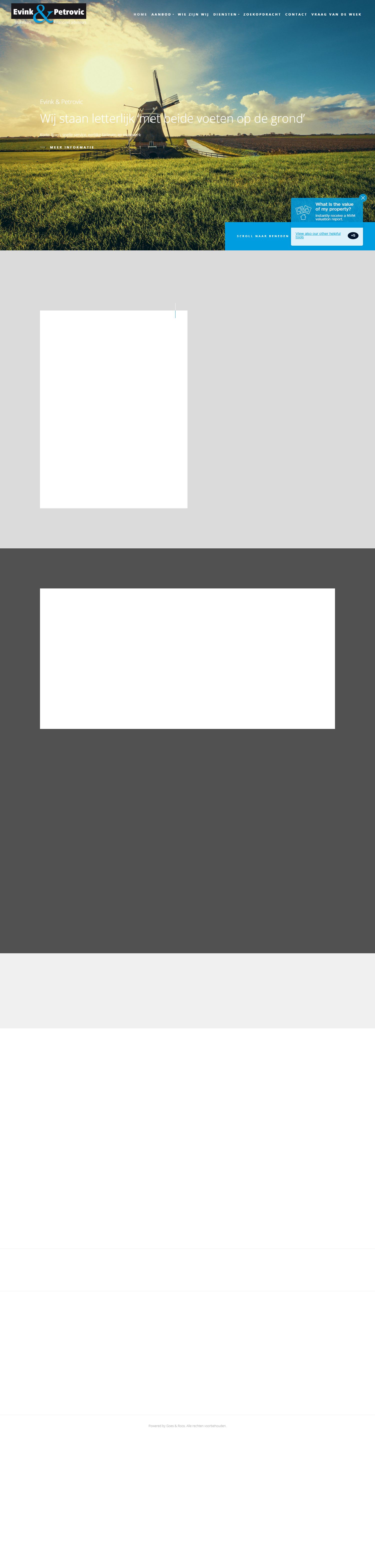 Screenshot van de website van www.evinkenpetrovic.nl