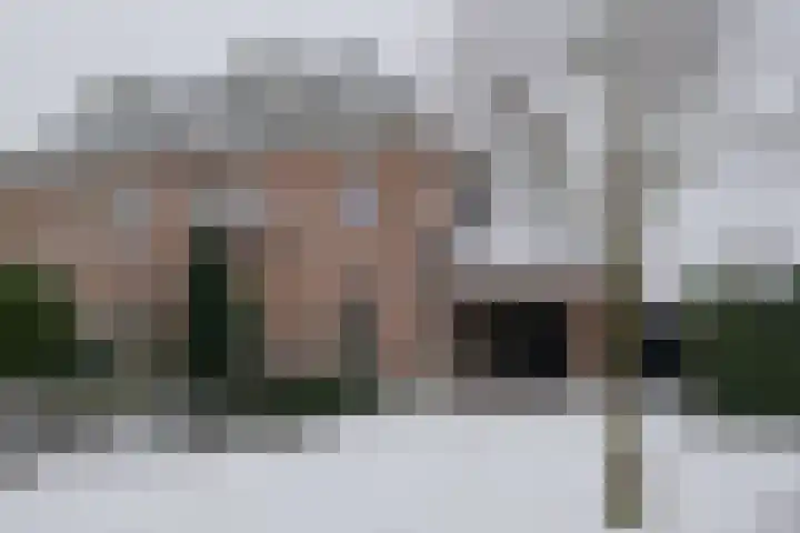 Evvesboer 15 Geesteren