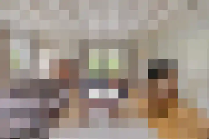 Ewinkel 7 Cuijk thumbnail 12