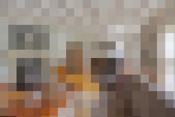 Ewinkel 7 Cuijk thumbnail 13