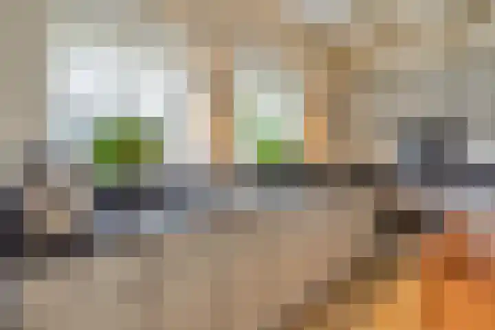 Ewinkel 7 Cuijk thumbnail 15