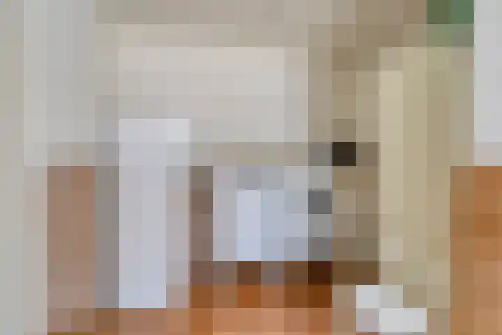 Ewinkel 7 Cuijk thumbnail 22