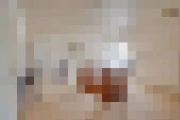 Ewinkel 7 Cuijk thumbnail 23