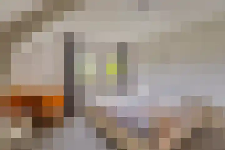 Ewinkel 7 Cuijk thumbnail 26