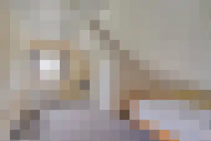 Ewinkel 7 Cuijk thumbnail 27