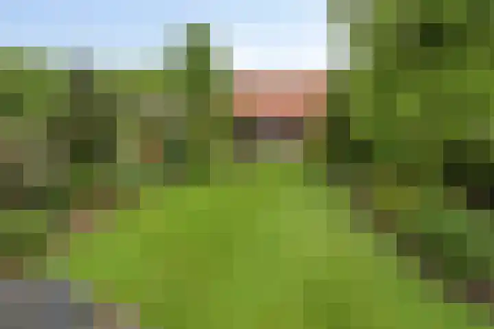 Ewinkel 7 Cuijk thumbnail 30
