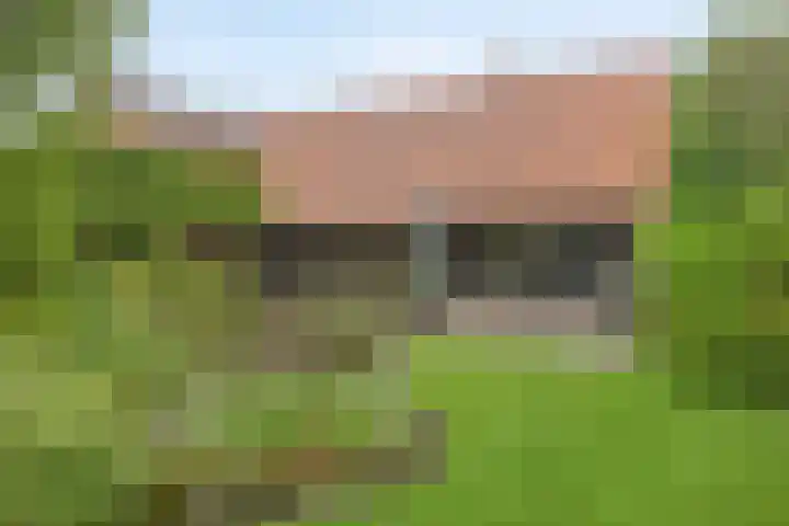 Ewinkel 7 Cuijk thumbnail 31