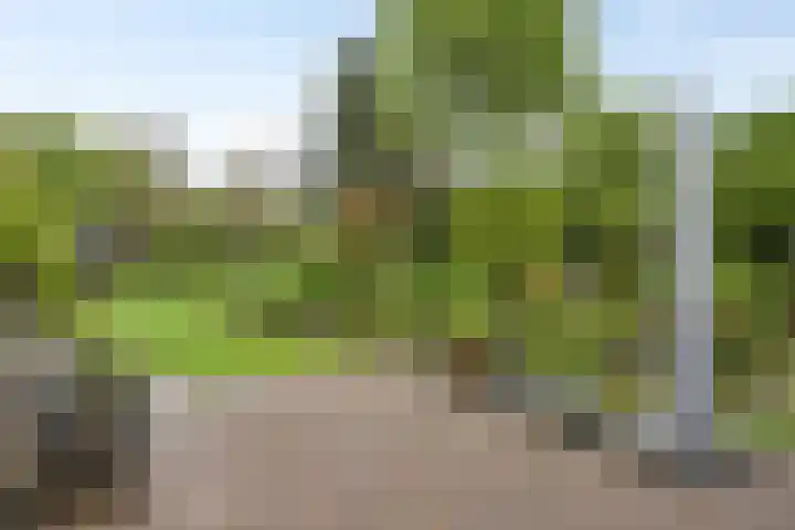 Ewinkel 7 Cuijk thumbnail 33
