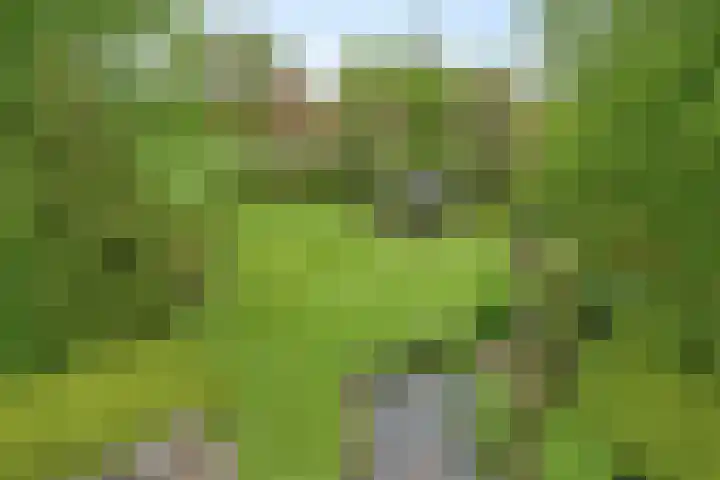 Ewinkel 7 Cuijk thumbnail 34