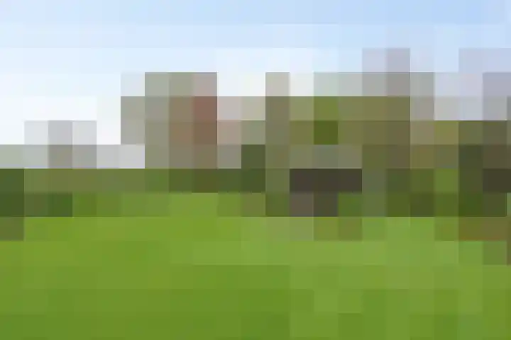 Ewinkel 7 Cuijk thumbnail 35