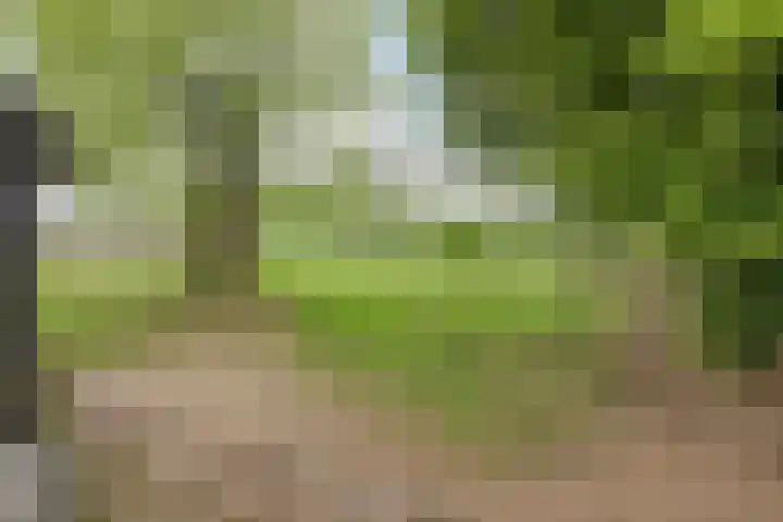 Ewinkel 7 Cuijk thumbnail 36
