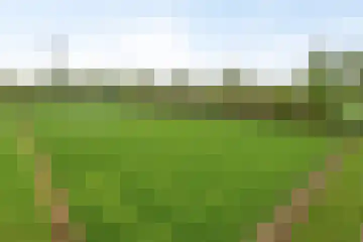 Ewinkel 7 Cuijk thumbnail 37