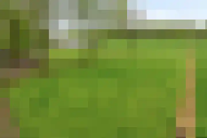 Ewinkel 7 Cuijk thumbnail 38