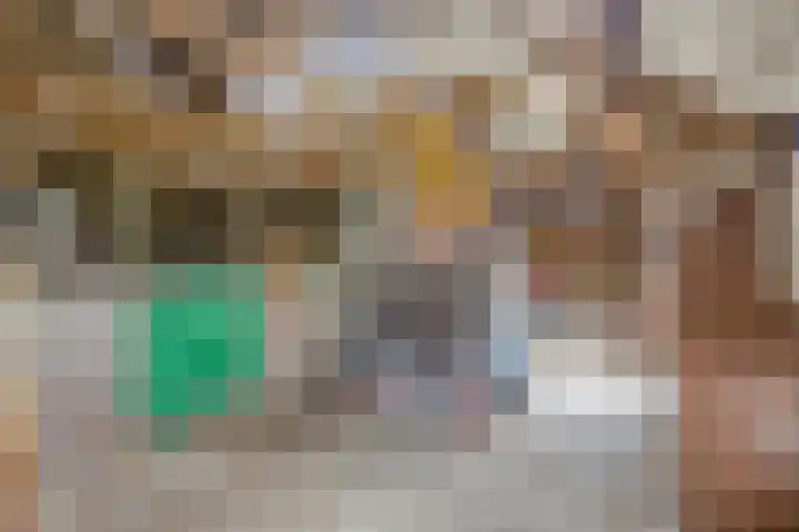 Ewinkel 7 Cuijk thumbnail 41