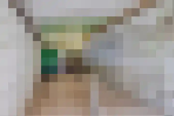 Ewinkel 7 Cuijk thumbnail 42